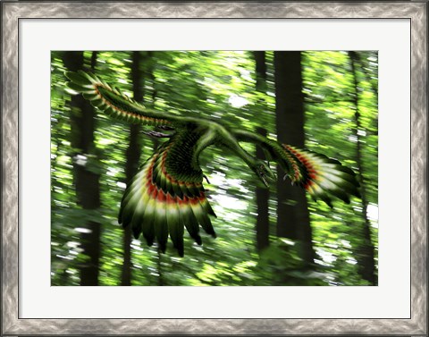 Framed Archaeopteryx flying through a forest Print