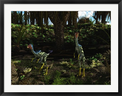 Framed Caudipteryx wander a prehistoric landscape Print