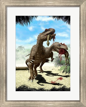 Framed Two Allosaurus with a Hypsilophodon in mouth as next meal Print