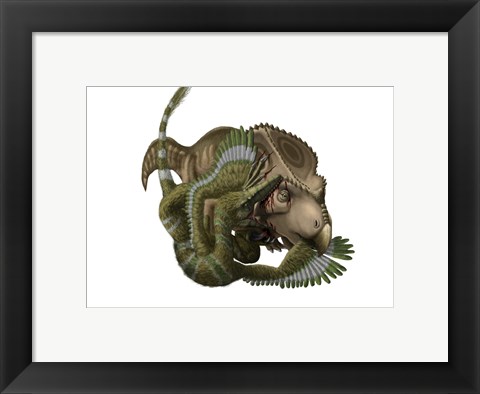Framed Velociraptor attacks a Protoceratops Print