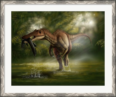 Framed Baryonyx dinosaur catches a fish out of water Print