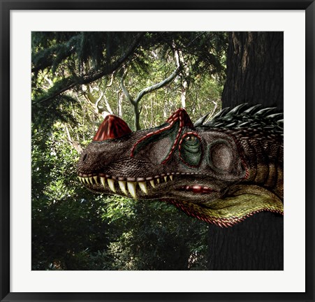 Framed Ceratosaurus magnicornis of the Late Jurassic Period Print
