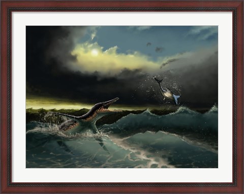 Framed Pliosaurus irgisensis attacking a shark Print