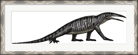 Framed Teraterpeton, an Archosauromorph from the Late Triassic Print