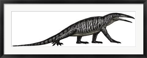 Framed Teraterpeton, an Archosauromorph from the Late Triassic Print