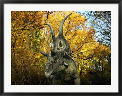 Framed Diabloceratops Wanders a Cretaceous Forest Print