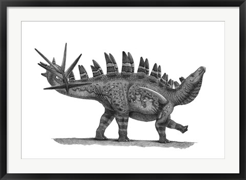 Framed Pencil Drawing of Chungkingosaurus Jiangbeiensis Print