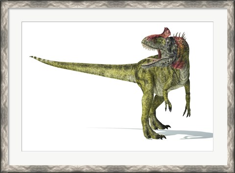 Framed Cryolophosaurus Dinosaur Print