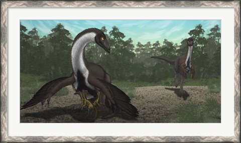 Framed Ornithomimus Mother Dinosaur with Juveniles, Adult Male in Background Print