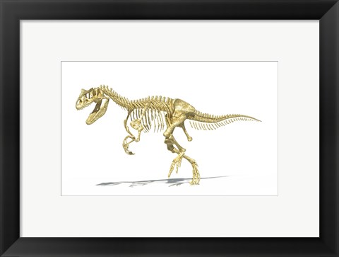 Framed 3D Rendering of an Allosaurus Dinosaur Skeleton Print