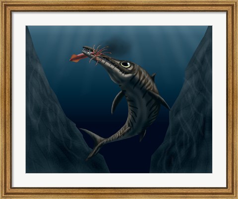 Framed Ophthalmosaurus Catches a Squid in the Deep Sea Print