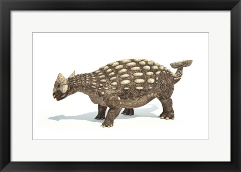 Framed Ankylosaurus Dinosaur on White Background Print