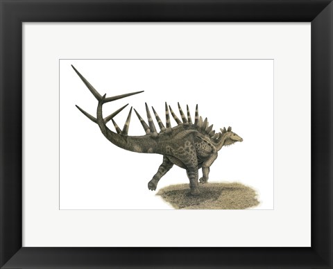Framed Pencil Drawing of Kentrosaurus Aethiopicus on Yellow paper Print