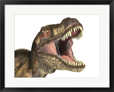 Framed Close-up of Tyrannosaurus Rex dinosaur with Mouth Open Print