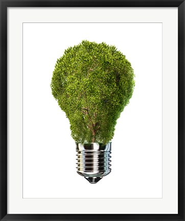 Framed Light Bulb with Tree Inside glass, Isolated on White Background Print