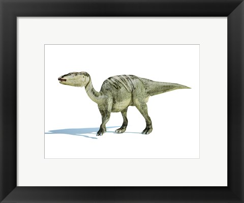 Framed 3D Rendering of an Edmontosaurus Dinosaur Print