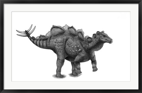Framed Pencil Drawing of Wuerhosaurus Homheni Standing on its Hind Legs Print