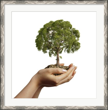 Framed Woman&#39;s Hands Holding Soil with a Tree Print