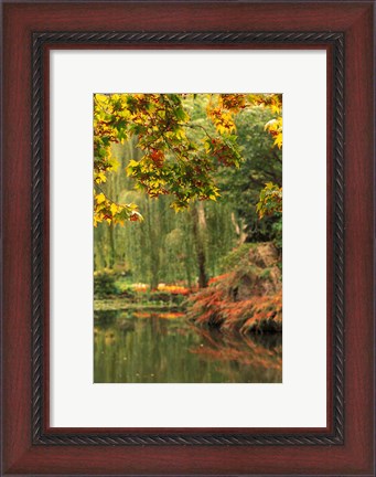 Framed Colorful Fall Leaves at Butchart Gardens, Victoria, British Columbia, Canada Print