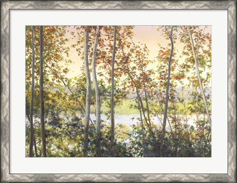 Framed Autumn Shady Print