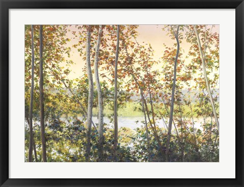 Framed Autumn Shady Print