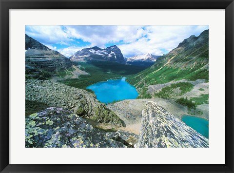 Framed Lake O&#39;Hara, Yoho National Park, British Columbia, Canada Print