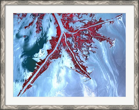 Framed False Color Satellite View of the Very tip of the Mississippi River Delta Print