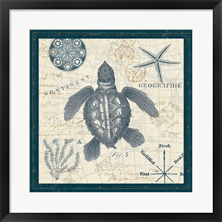 Framed Ocean Life VI Print