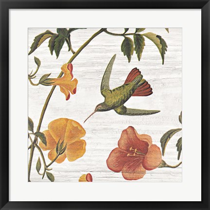 Framed Vintage Hummingbird I Print