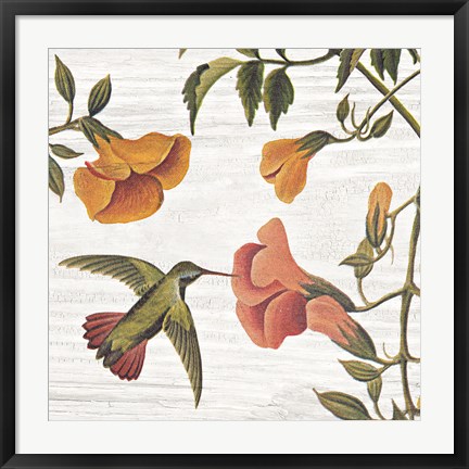 Framed Vintage Hummingbird II Print