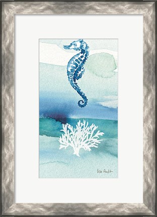 Framed Sea Life VIII no Border Print