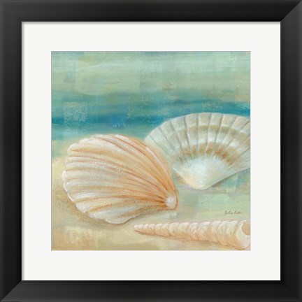 Framed Horizon Shells IV Print