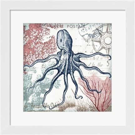 Framed Coastal Sea Life V Print