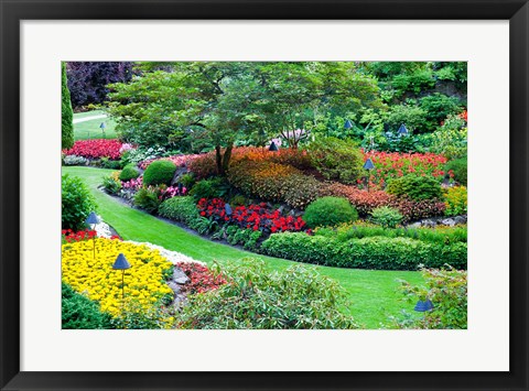 Framed Butchart Gardens in Full Bloom, Victoria, British Columbia, Canada Print