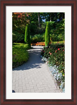 Framed Trail Through the Butchard Gardens, Victoria, British Columbia, Canada Print