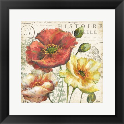 Framed Spice Poppies Histoire Naturelle I Print