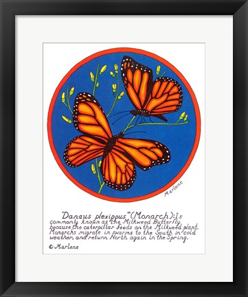 Framed Monarch Print