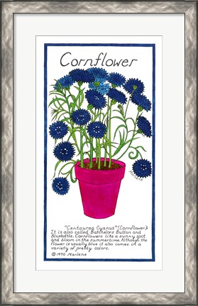 Framed Cornflower Print
