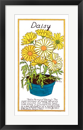 Framed Daisy Print