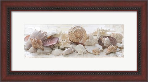Framed Treasures by the Sea II Print