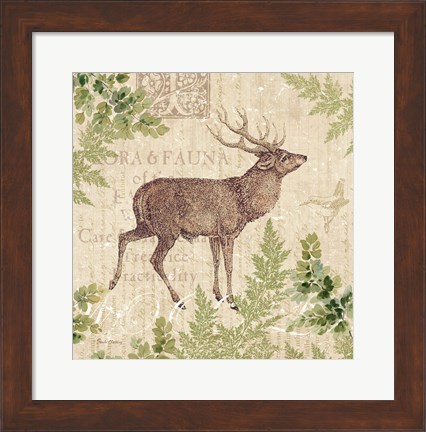 Framed Woodland Trail I (Deer) Print