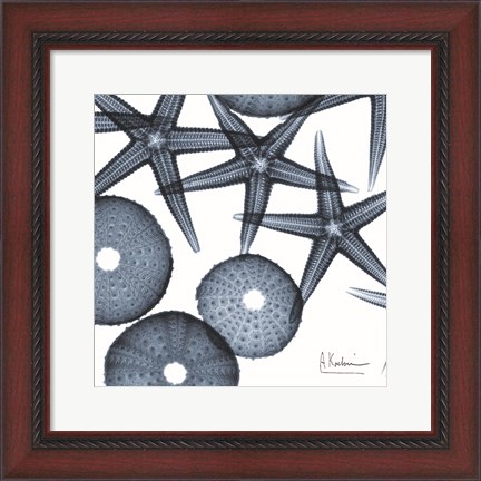 Framed Starfish Trip 3 Print