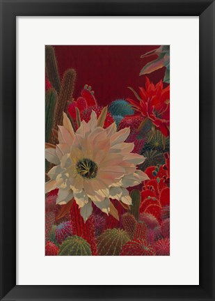 Framed Stella&#39;s Garden Print