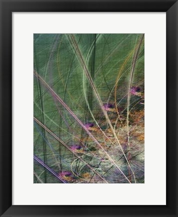 Framed Wetland Vector II Print