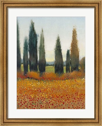 Framed Cypress Trees I Print