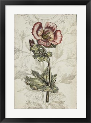 Framed Keepsake Floral I Print