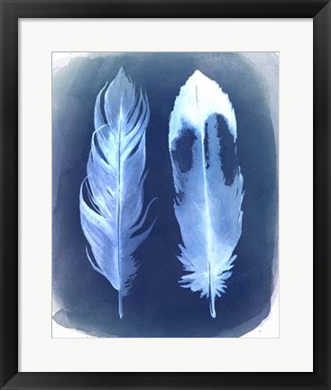 Framed Feather Negatives II Print