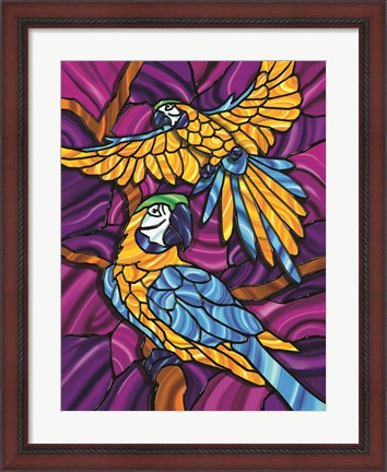 Framed Parrot A Print