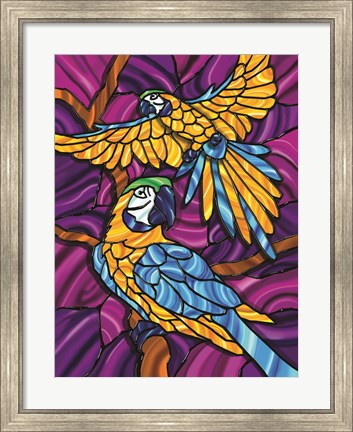 Framed Parrot A Print
