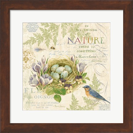 Framed Nature Trail I Print
